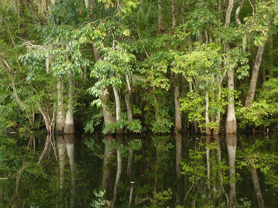 Click to See Next Image